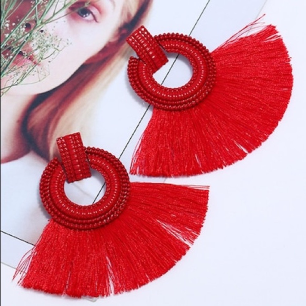 Gorgeous fringe earrings